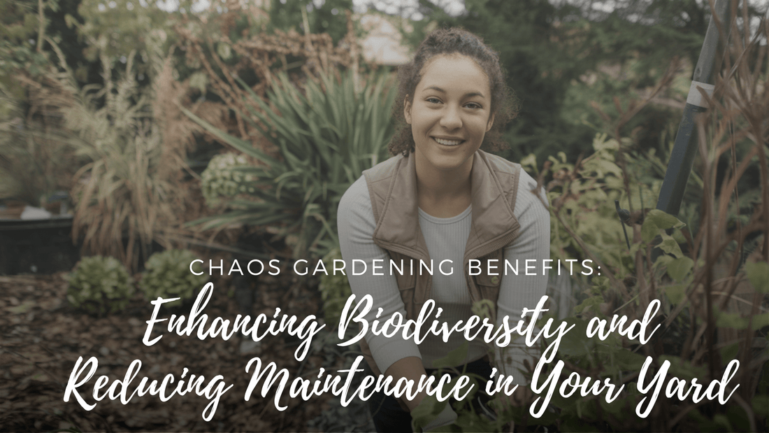 Chaos Gardening Benefits: Enhancing Biodiversity and Reducing Maintenance in Your Yard