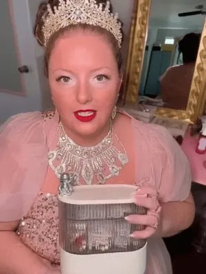 Woman in a pink dress with a tiara holding a desk organizer, in front of a mirror.