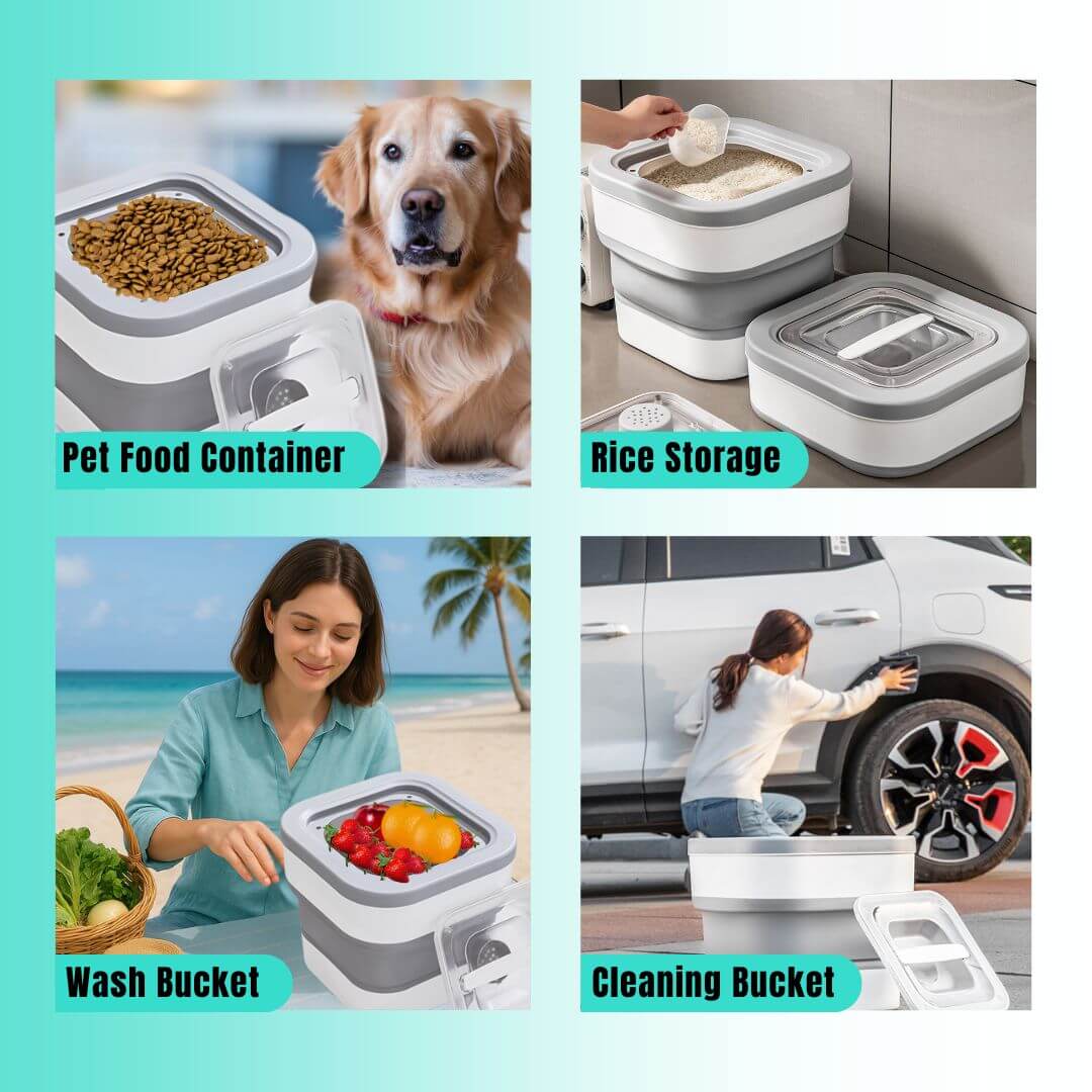Dazzleree Collapsible Food Storage Container | Saves Space & Keeps Food Fresh Anywhere