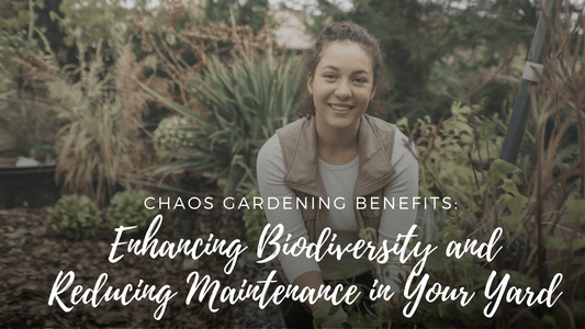 Chaos Gardening Benefits: Enhancing Biodiversity and Reducing Maintenance in Your Yard