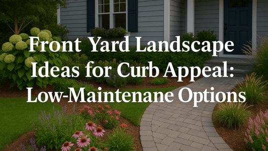 Front Yard Landscape Ideas for Curb Appeal: Low-Maintenance Options