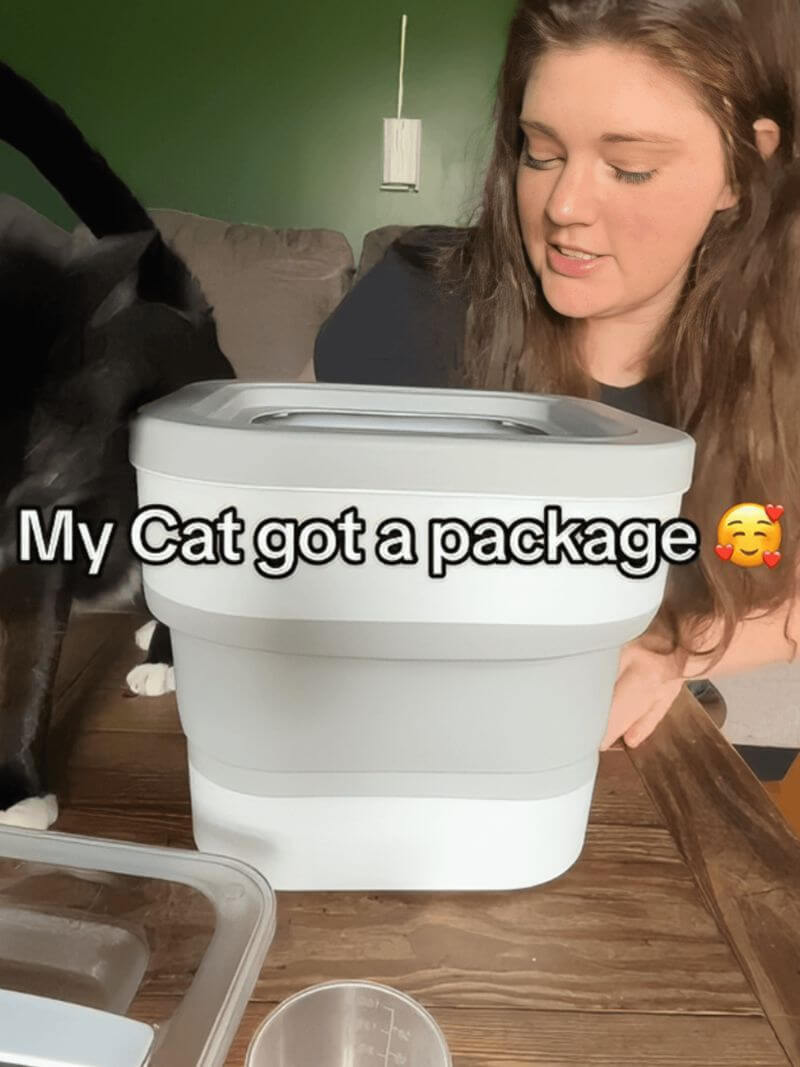 Person with a cat and a collapsible container on a wooden table, with text 'My Cat got a package' and a smiling face emoji.