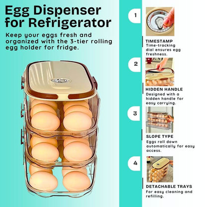 Egg dispenser for refrigerator with features listed on a teal background