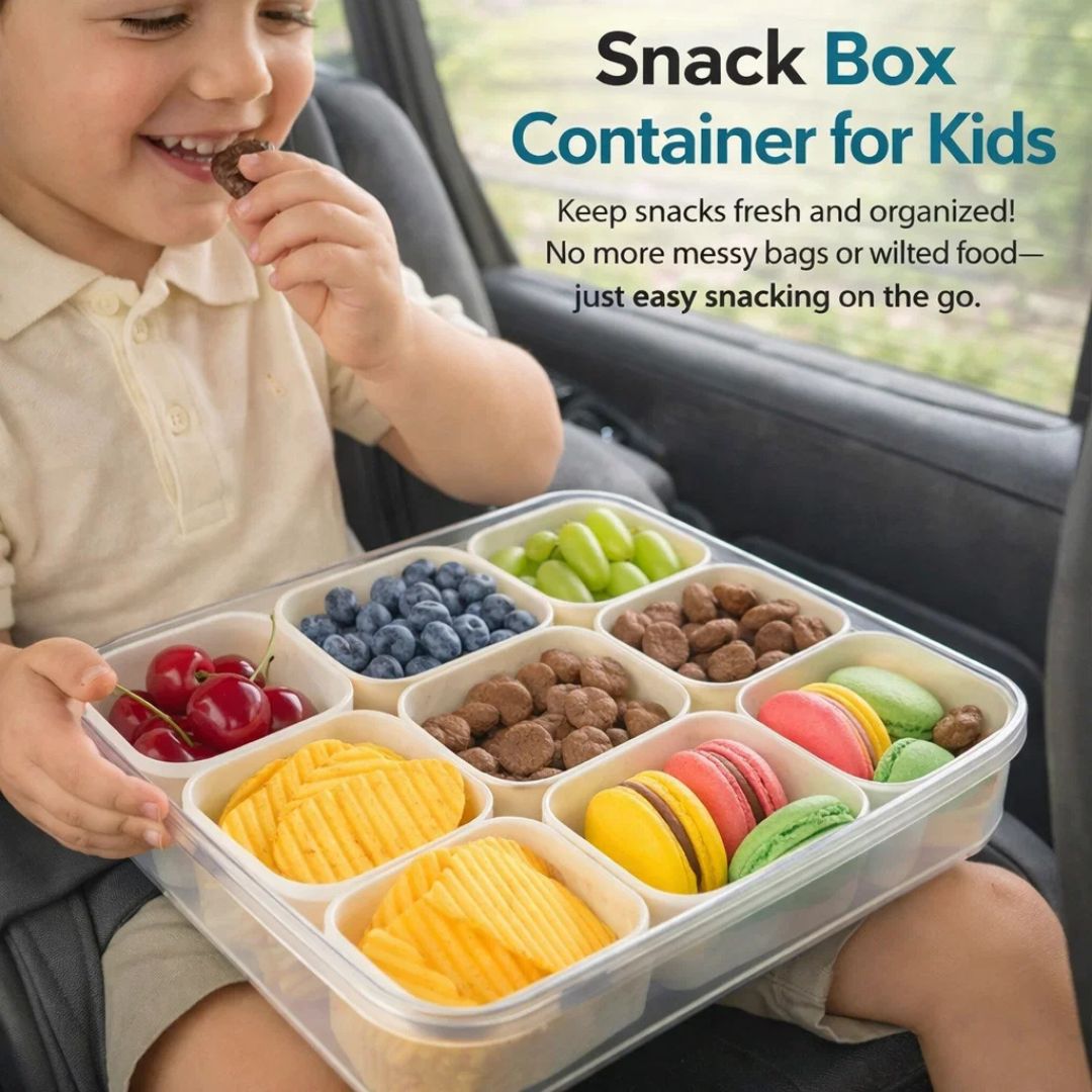 Dazzleree 9 Compartment Snackle Box Container | Mess-Free Serving Made Simple — For Every Party & Picnic