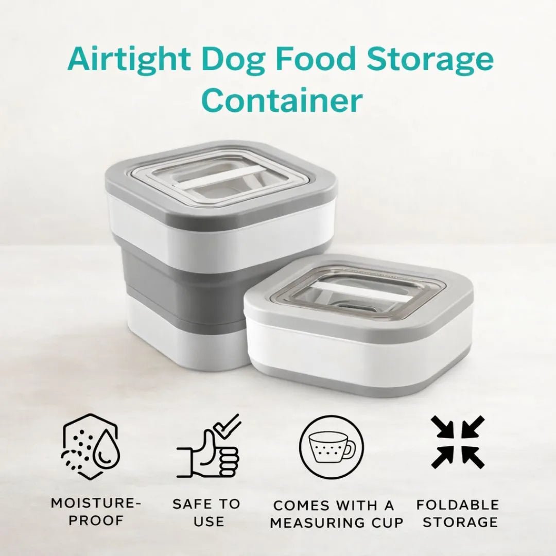 Collapsible Food Storage Container