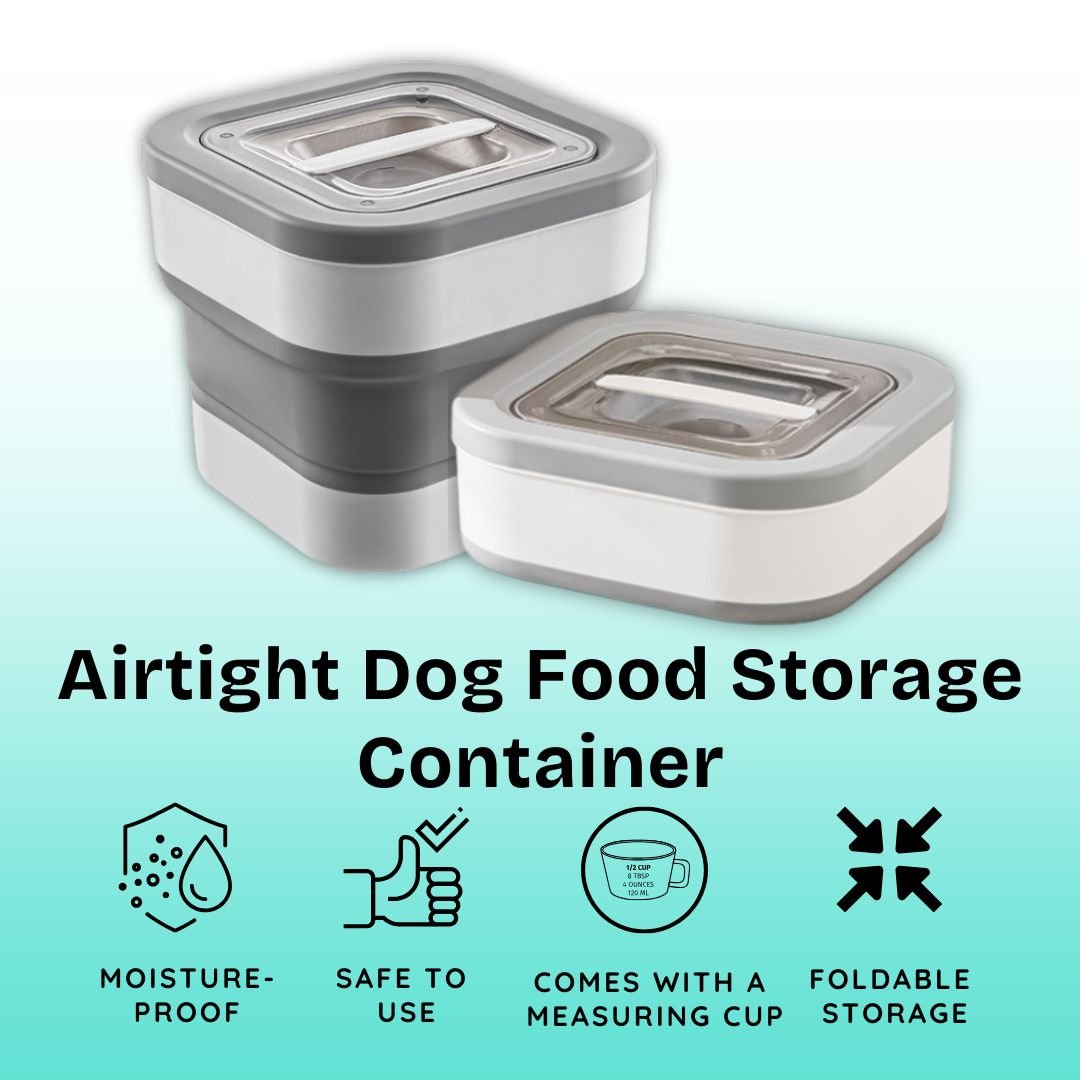 Dazzleree Collapsible Food Storage Container | Saves Space & Keeps Food Fresh Anywhere